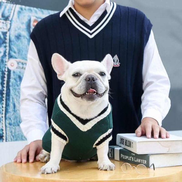 College V-neck Sweater for Dogs