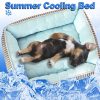 Cooling Dog Bed