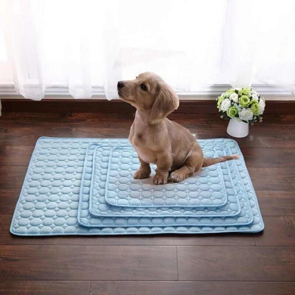 Cooling Dog Mat