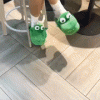 Crocodile Cotton Slippers