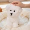 Cuddly Teddy Dog Plush