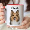 Custom Dog Cat Photo Our Human Servant Accent Mug HA75 891815