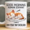 Custom Mug - Personalized Birthday Gifts For Cat Lovers, Cat Mom And Dad - Dreaming Of Snacks