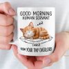 Custom Mug - Personalized Birthday Gifts For Cat Lovers, Cat Mom And Dad - Dreaming Of Snacks