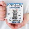 Custom Mug - Personalized Birthday Gifts For Cat Lovers, Cat Mom And Dad - My Cats Own My Heart