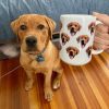 Custom Pet's Face Photo, Personalized Coffee Mug, Gift For Pet Lovers
