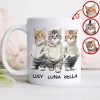 Custom Photo And Name Cat White Mug For Cat Pet Lovers HA75 897598