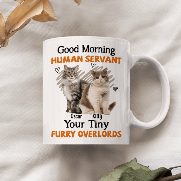 Custom Photo Good Morning Human Servant Cat Mug DA199 890264