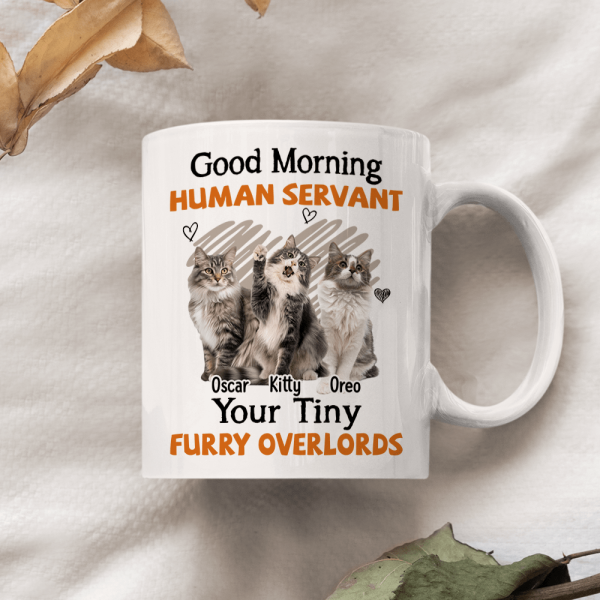 Custom Photo Good Morning Human Servant Cat Mug DA199 890264