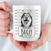 Custom Photo Mug - Personalized Birthday Gifts For Dog Cat Lovers, Dog Dad And Mom, Cat Owners - Serial Treat Killer