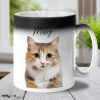 Custom Photo My Furreal And Unconditional Love - Dog & Cat Personalized Custom Color Changing Mug - Gift For Pet Owners, Pet Lovers