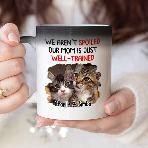 Custom Photo We Aren't Spoiled - Dog & Cat Personalized Custom Color Changing Mug - Gift For Pet Owners, Pet Lovers