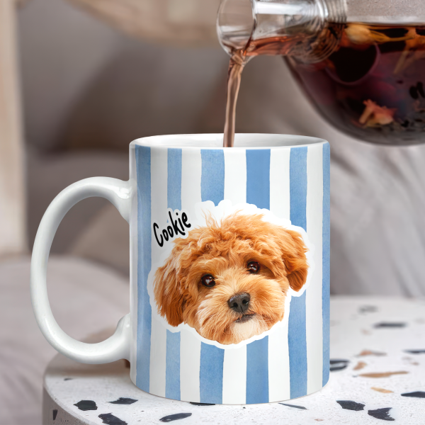 Custom Photo With Colorful Stripes - Personalized Mug Gift For Family HO82 901022