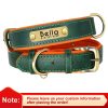 Customized Leather ID Nameplate Dog Collar