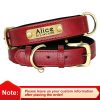 Customized Leather ID Nameplate Dog Collar
