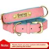 Customized Leather ID Nameplate Dog Collar