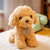 Cute 20CM Plush Curly Dog Toy - Perfect Gift for Kids!