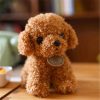 Cute 20CM Plush Curly Dog Toy - Perfect Gift for Kids!