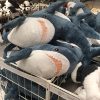 Cute 58CM Soft Shark Plush Toy - Adorable Gift for Kids & Collectors!