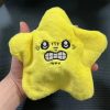 Cute and adorable stuffed star