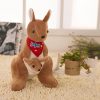 Cute Australian Kangaroo