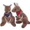 Cute Australian Kangaroo