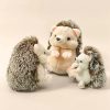 Cute Hedgehog Plush Sleeping Companion