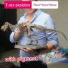 Dinosaur Skeleton Toys Ornament Simulation T-Rex Model