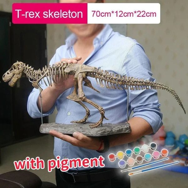 Dinosaur Skeleton Toys Ornament Simulation T-Rex Model