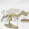 Dinosaur Skeleton Toys Ornament Simulation T-Rex Model