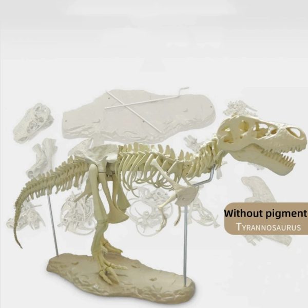 Dinosaur Skeleton Toys Ornament Simulation T-Rex Model
