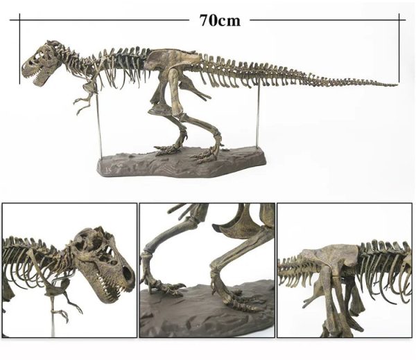 Dinosaur Skeleton Toys Ornament Simulation T-Rex Model