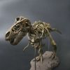Dinosaur Skeleton Toys Ornament Simulation T-Rex Model