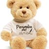 DIY Teddy Bear with Blank White T Shirt 11 Inch