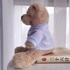 DIY Teddy Bear with Blank White T Shirt 11 Inch