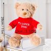 DIY Teddy Bear with Blank White T Shirt 11 Inch