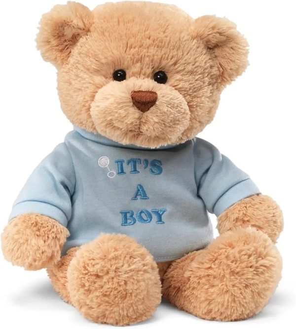 DIY Teddy Bear with Blank White T Shirt 11 Inch