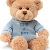 DIY Teddy Bear with Blank White T Shirt 11 Inch