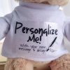 DIY Teddy Bear with Blank White T Shirt 11 Inch