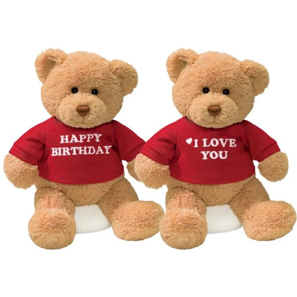 DIY Teddy Bear with Blank White T Shirt 11 Inch