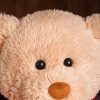 DIY Teddy Bear with Blank White T Shirt 11 Inch