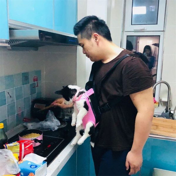 Dog Carrier Backpack