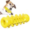 Dog Chew Toothbrush Toy