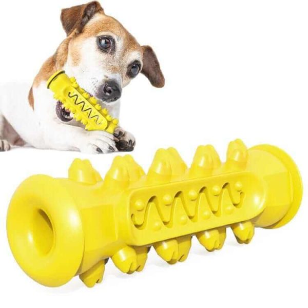 Dog Chew Toothbrush Toy