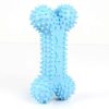 Dog Chew Toothbrush Toy
