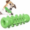 Dog Chew Toothbrush Toy