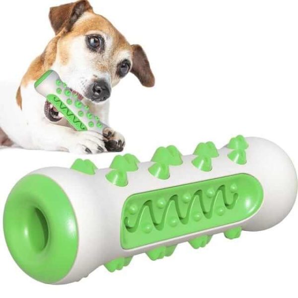 Dog Chew Toothbrush Toy