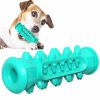 Dog Chew Toothbrush Toy