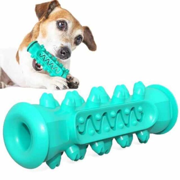 Dog Chew Toothbrush Toy