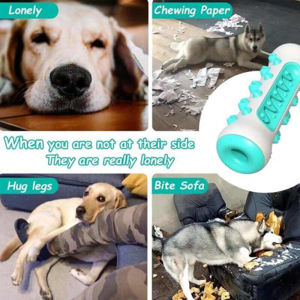 Dog Chew Toothbrush Toy